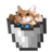 mbaxter