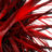 Red_Rage