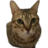 meongumc