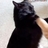 Fraxie