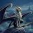 Dragonss1