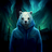 nice_polar_bear