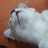 _Thepaco_