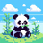PandaSetups