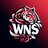wnesles studio