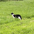 bijke