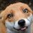 frostyfox