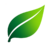 LeafStudios