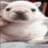 Esemacool