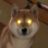 Foxvific