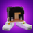 FlasterMC