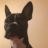 Drewster