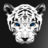 WhiteTiger