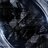 nexusnest