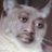 Wats_it2ya