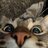 Tim_FR
