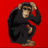 Code Monkey