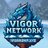 VigorNetwork