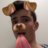 Tyler Swenson