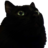 P0ki