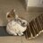 Max_tueure