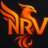NarvaStudio