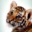 TigerRageMC