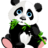 PandaDevX