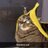 catkingfr69