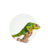 _Lizards