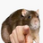 DanDan_