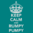 Pumpy