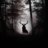 Fall_Of_Shadows