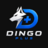Dingo Plus