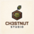 Ch3stnutStudio