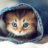 FuzzHD