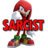 Sarcist