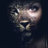 Mix