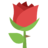 Rose C.