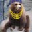Kugobear