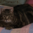 Jhonny