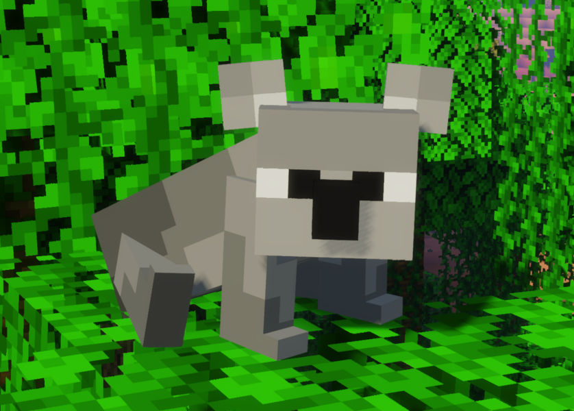 Coala.png