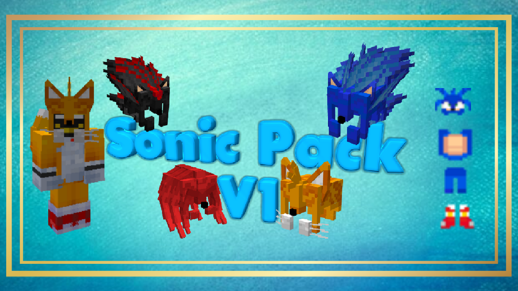 Sonic banner.png