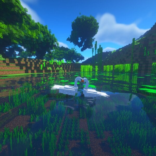 ec_birds_6.jpg