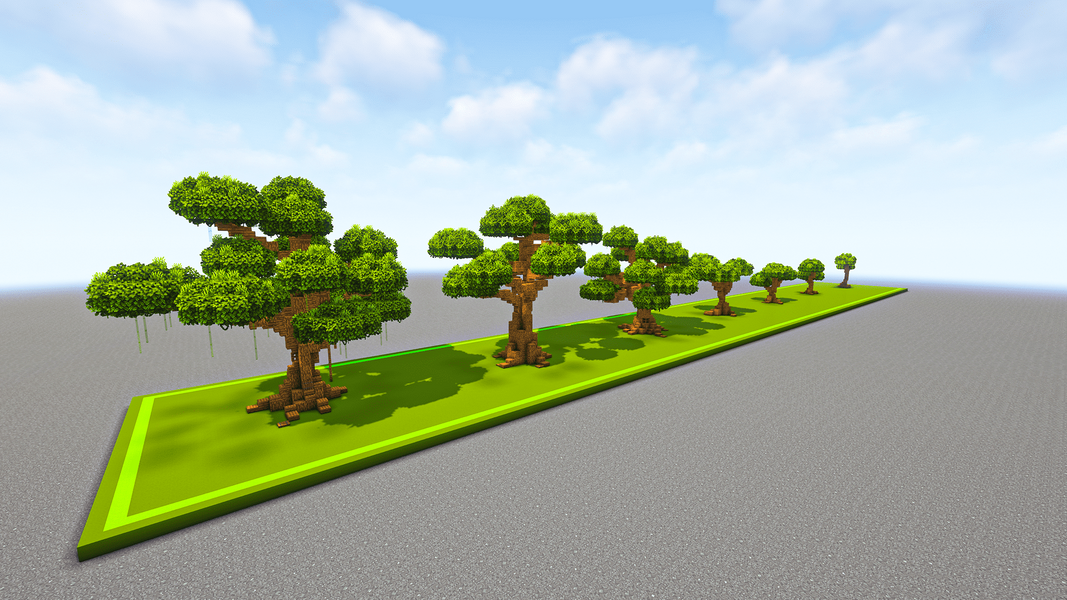 7 Oak Trees - 2.png