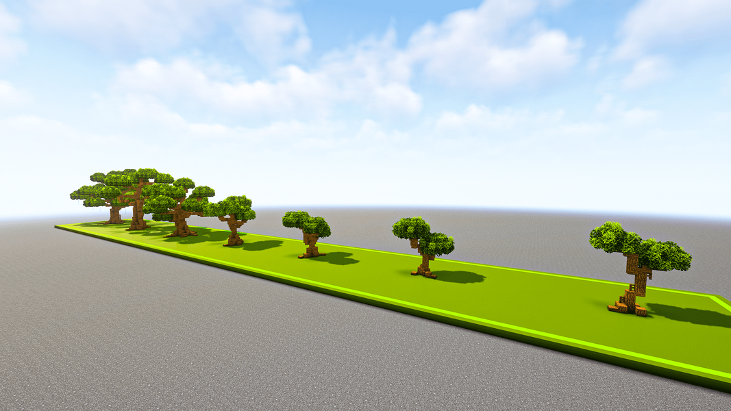 7 Oak Trees - 3.png