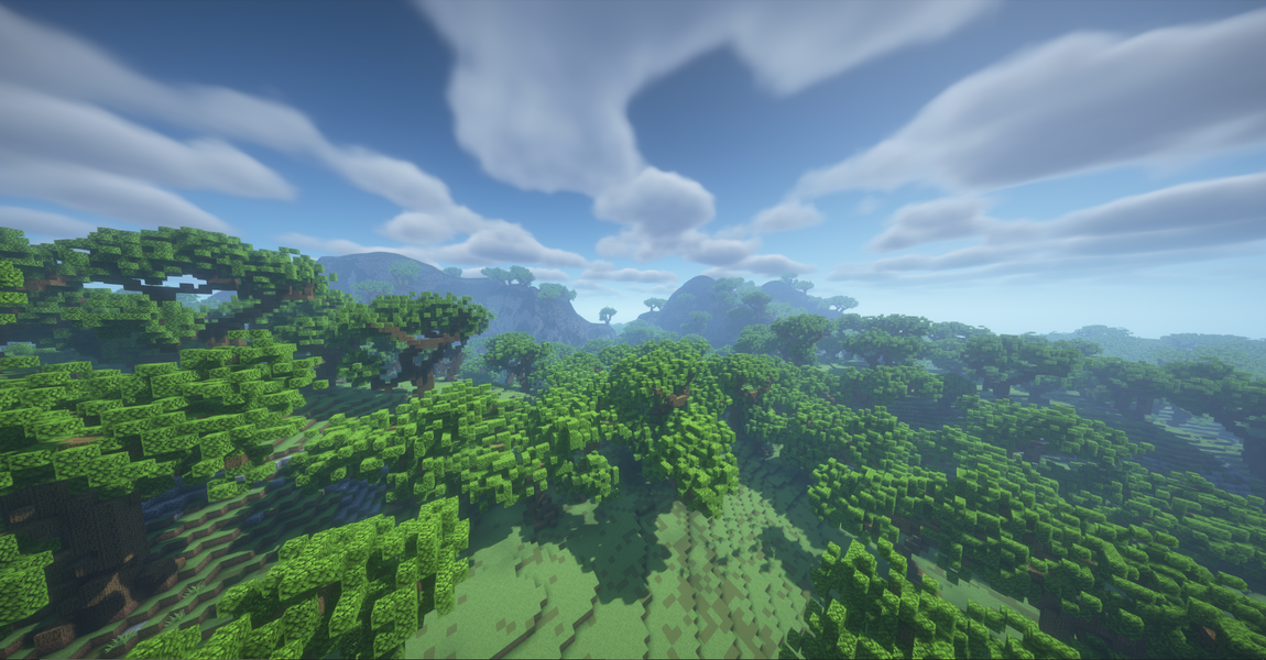 Forest1.png