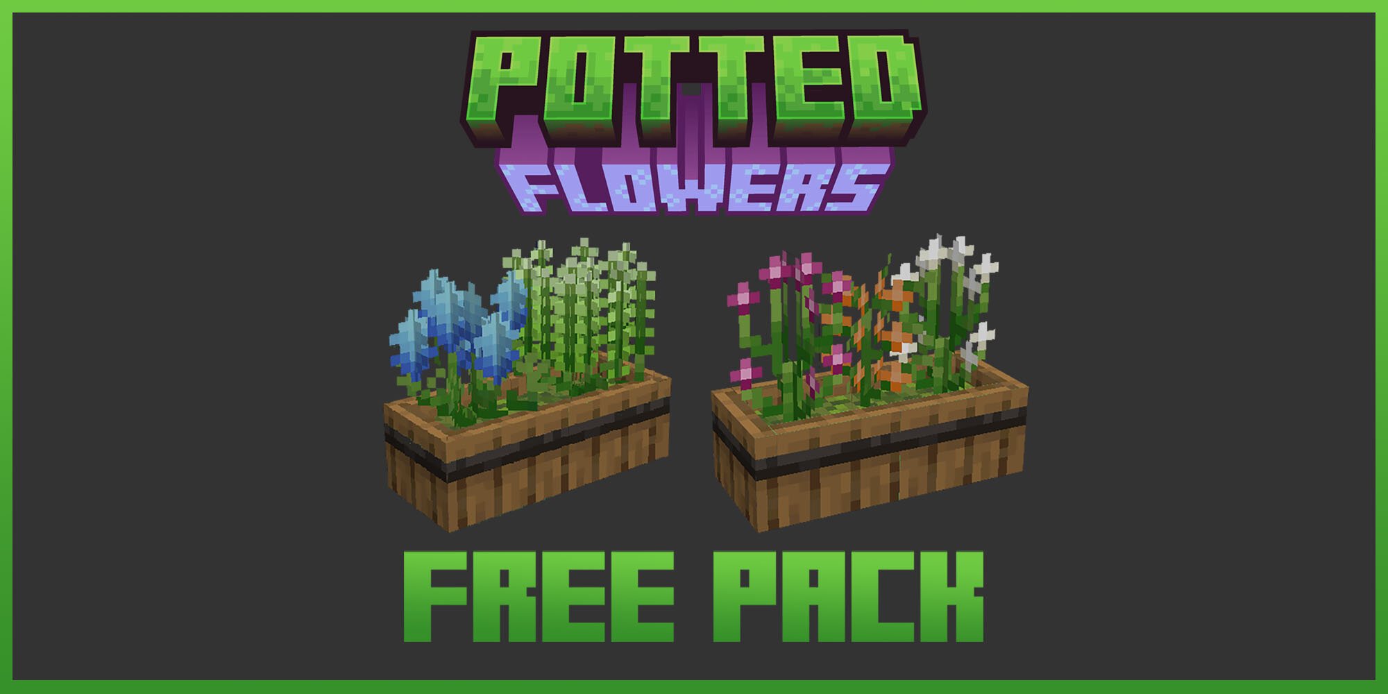potted_flowers image présentation.jpg