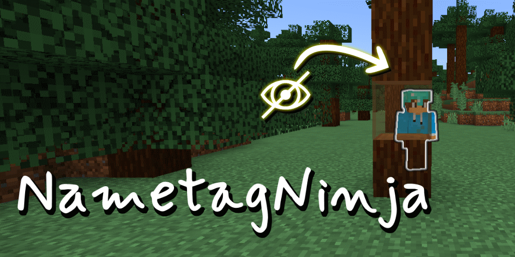 NametagNinjaPluginCoverBBB.png