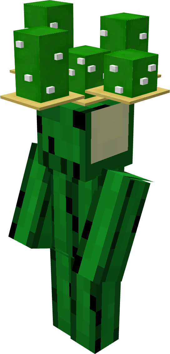 cactus_hat.png